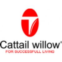 Cattail Willow
