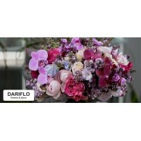 DARIFLO