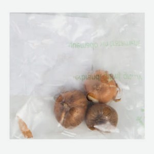 Луковицы Крокус White крупноцветковый, 3 шт, шт