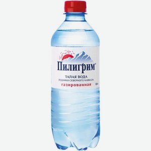 Вода минеральная Пилигрим газированная