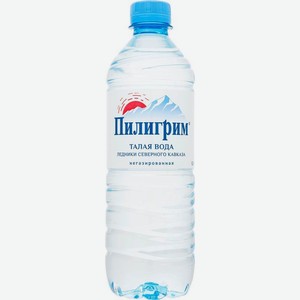 Вода минеральная Пилигрим негазированная