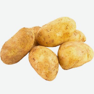 Картофель ранний, 1 кг