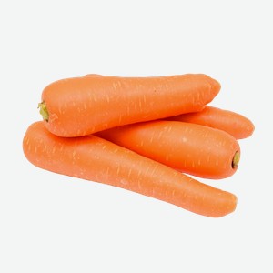 Корнеплод Морковь местная подложка, 5 шт