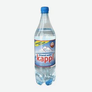 Природная минеральная питьевая вода Kappl 1л. газированная