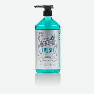 Освежающий шампунь для волос Fresh Shampoo