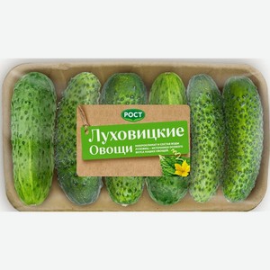 Огурцы Луховицкие овощи короткоплодные упаковка, 450 г