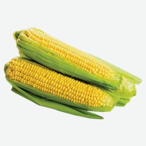 Кукуруза свежая, 1 шт, шт