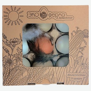 Яйца куриные «Экоферма» Фермерское цветная скорлупа С1, 9 шт