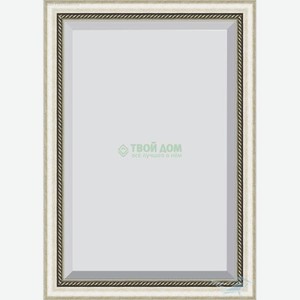 Зеркало с фацетом в багетной раме Evoform серебряный бамбук 73 мм 73х103 см