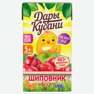 Сок яблочный «Дары Кубани» с шиповником с 5 месяцев, 125 мл