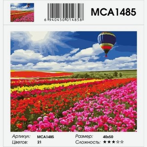 Картина по номерам 40х50 см Уровень 3 Воздушный шар над полем MCA1485