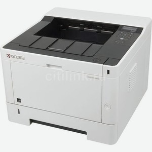 Принтер лазерный Kyocera Ecosys P2040DN черно-белая печать, A4, цвет черный [1102rx3nl0]