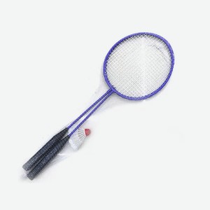 Набор для бадминтона (2 пластиковые ракетки, волан, мячик)( Арт. НБД-0563)