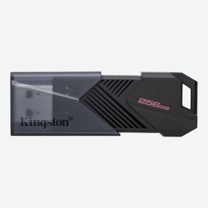 Флеш-диск Kingston 256GB DTXON/256GB