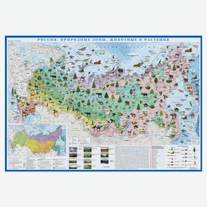 Карта настенная«Атлас Принт» Россия Природные зоны, животные и растения, 1 х 0,7 м