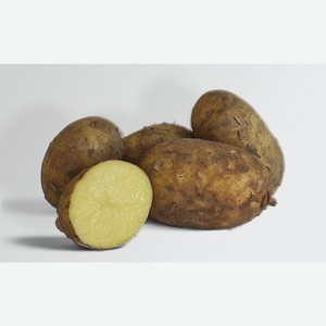Картофель ранний белый весовой Мираторг