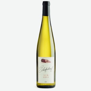 Вино Riesling baden blanc белое сухое 12,5% 0.75л ст/б Германия, Баден