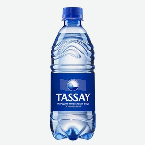 Вода природная питьевая Tassay газированная 0.5л
