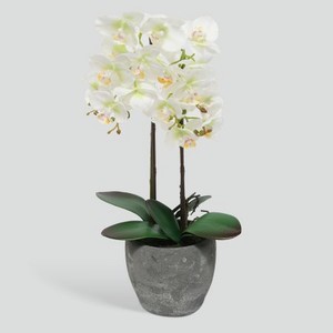 Цветок искусственный Fuzhou Light в горшке orchid бело-зеленая 54 см