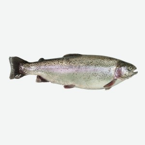 Рыба живая форель 1-2,5 кг Невод Кубани вес