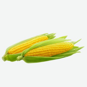 Овощ Кукуруза Молодая шт, 1 шт