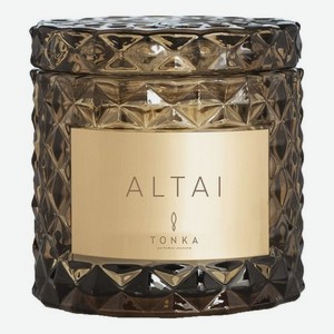 Ароматическая свеча Altai: свеча 50г (коричневый подсвечник) тубус
