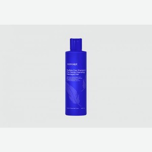 Бессульфатный шампунь для деликатного очищения поврежденных волос CONCEPT Soft Care 300 мл