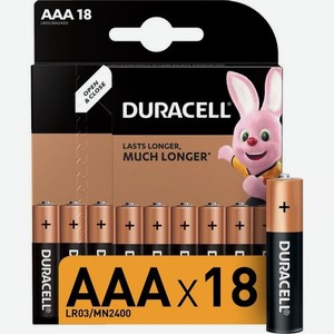 AAA Батарейка Duracell Basic LR03-18BL MN2400, 18 шт.