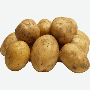 Картофель, вес (ООО ТД Азия)