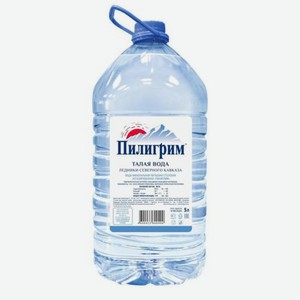Вода негаз рн 7,63 Пилигрим питьевая Меркурий п/б, 5 л