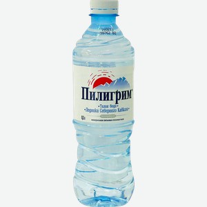 Вода негаз рн 7,63 Пилигрим питьевая Меркурий п/б, 0,5 л
