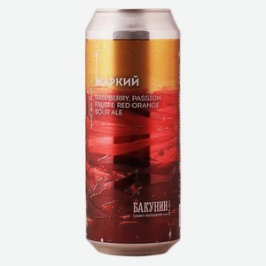 Пиво Бакунин Саур 3 0.5л