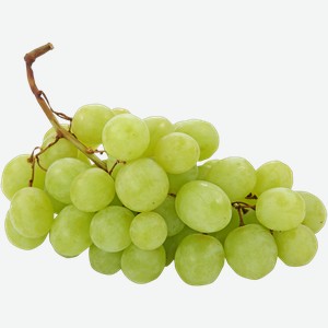 Ягода сорт Августин виноград белый Щипанов ИП вес