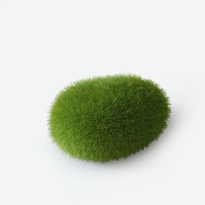 Декоративный мох для аквариума AQUA DELLA  Moos Ball , 6x4.5x3.5см (Бельгия)