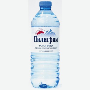 Вода питьевая Пилигрим б/г 0,5л