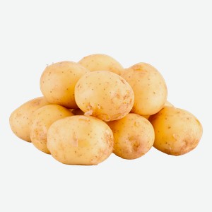 Корнеплод ранний Картофель белый мытый подложка, 1 КГ