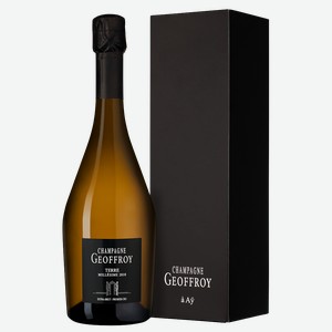 Шампанское Terre Premier Cru Extra But в подарочной упаковке 0.75 л.