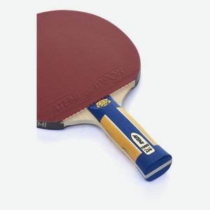 Ракетка для настольного тенниса Atemi Pro 1000 AN