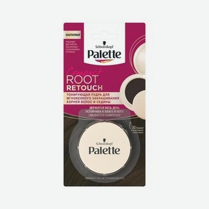 Тонирующая пудра для корней волос и седины Palette Compact Root Retouch , Каштановый , 3г