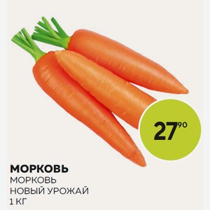 Морковь Новый Урожай Кг