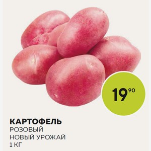 Картофель Розовый Новый Урожай Кг
