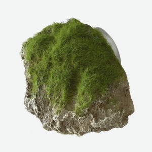 Декоративный камень с мхом для аквариума AQUA DELLA  Moss Stone , 9x6x6.5см (Бельгия)
