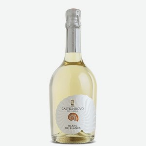 Кастельнуово дель Гарда Блан де Блан EXTRA DRY Вино Игристое Белое Брют 0.75л