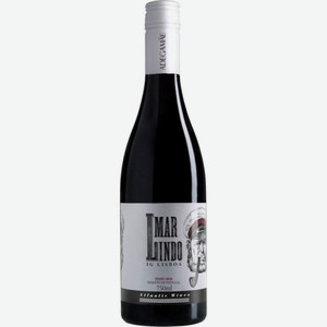 Вино Mar Lindo красное сухое 13.5% 750мл