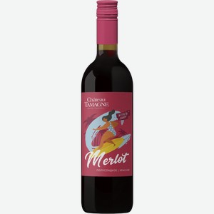 Вино Chateau Tamagne Wine Surfing Мерло красное полусладкое 13.5% 750мл