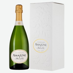 Шампанское Amazone de Palmer в подарочной упаковке, Palmer & Co, 0.75 л.