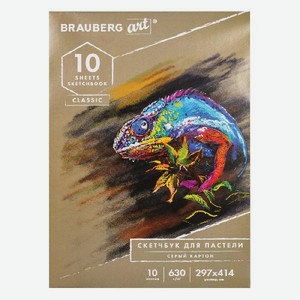 Скетчбук для пастели Brauberg Art Classic, 630 г/м2, 297x414 мм, 10 листов, серый картон (105917)
