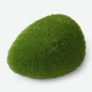 Декоративный мох для аквариума AQUA DELLA  Moos Ball , 11.5x9x6см (Бельгия)