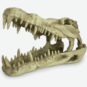 Декорация для террариумов, череп LUCKY REPTILE  Skull Krokodil , 25x11.2x15.2см (Германия)