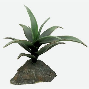 Декоративное растение для террариума LUCKY REPTILE  Agava , зеленое, 15см (Германия)